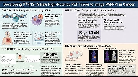 2014 Synthesis, [18F] radiolabeling, & evaluation of  PARP1i for in vivo imaging of PARP1 using PET