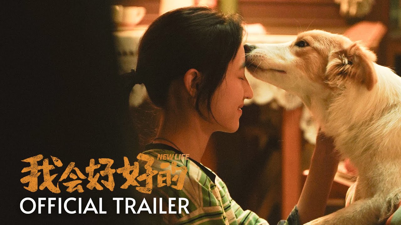 人类与宠物的羁绊| 选择你，不后悔| 我会好好的New Life | OFFICIAL