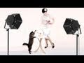 BETTIE PAGE PIN UP QUEEN Trailer  Cult Epics - YouTube