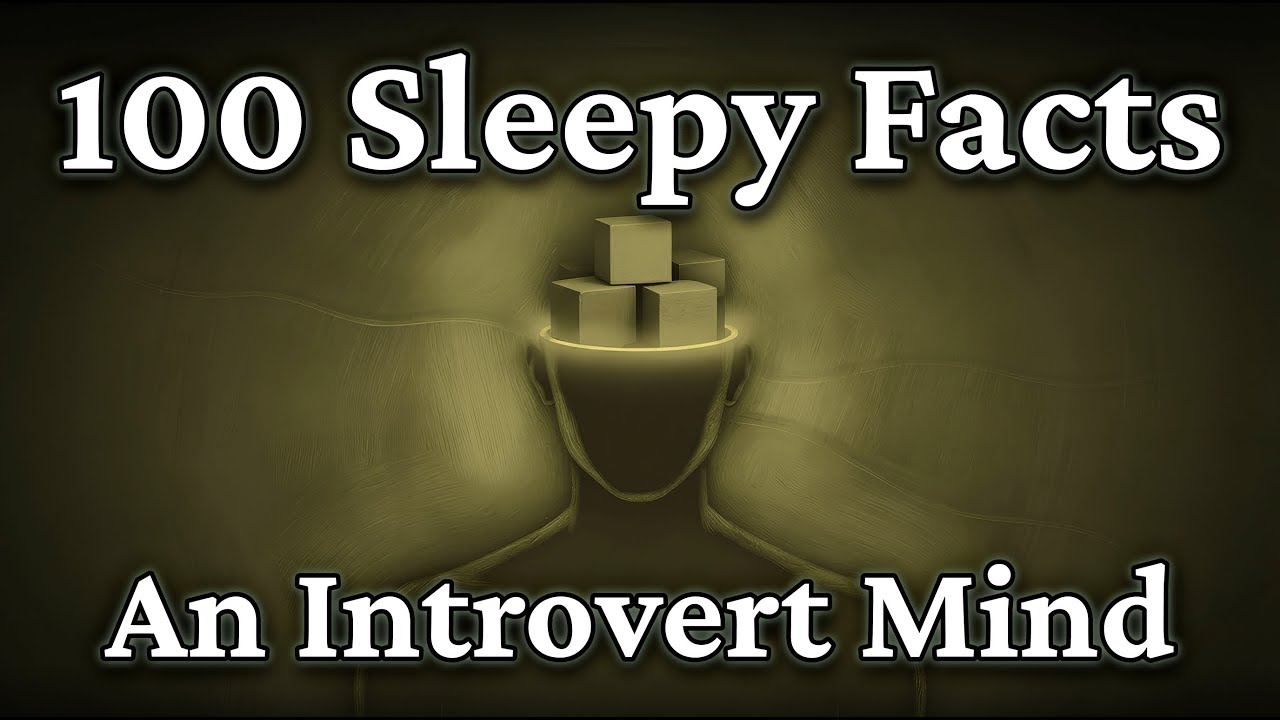 How Someone Becomes An Introvert — And Why It Isn't A Flaw (Science for Sleep)