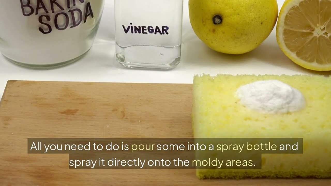 No More Mold in Your Bathroom! Natural Mold  Removal Tips