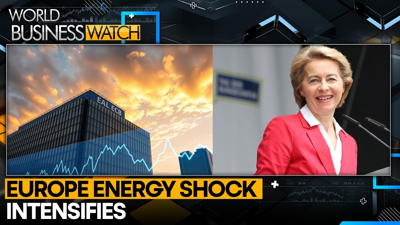 German Drivers Cross Border For Fuel | WION World Business Watch