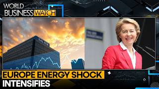 German Drivers Cross Border For Fuel | WION World Business Watch