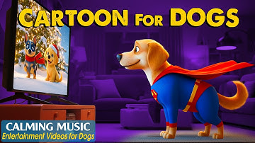 Cartoon for Dogs: Relaxing Dog TV to Keep Your Dog Happy While You’re Away – Soothing Music for Dogs