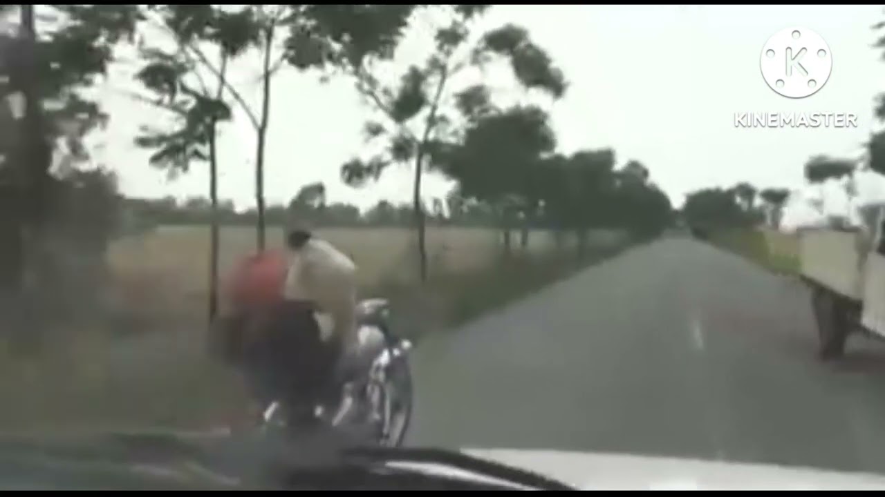 happy indipandesday ap sebko🇳🇪🇳🇪🇳🇪🇳🇪🇳🇪