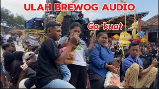 Brewog  Bikin Gempar Warga Tambakwatu