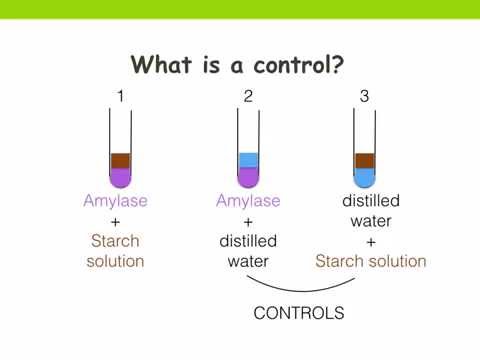 Experiment. Independent, dependent, key variables and control (Ms Cooper)