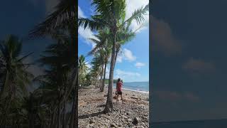 real quezon beach#realquezon
