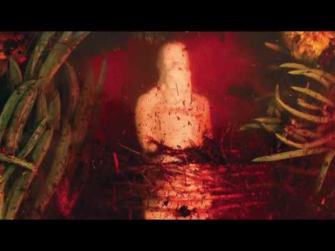 Wreck And Reference — Wreck and Reference - Modern Asylum