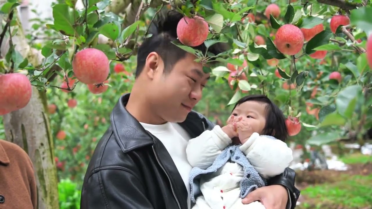 带外公和娘家人来摘苹果啦！看见这满山的苹果， 娘家人都说我嫁的好