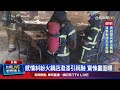 男持鐵鎚砸店潑紅漆 1顧客無辜遭波及