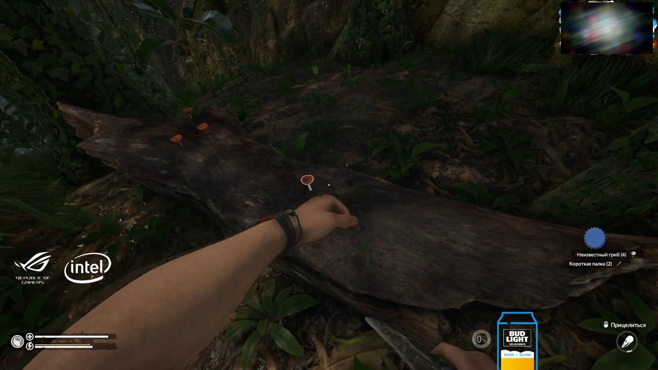 Dread's stream | Green Hell с Omskpro | 19.05.2020