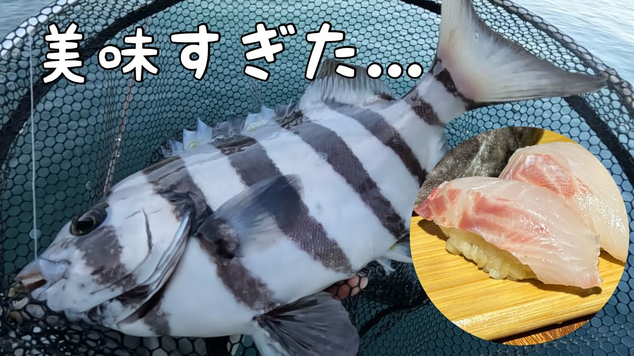 釣りキャンプでヤバいの釣れた！！とっとパーク小島