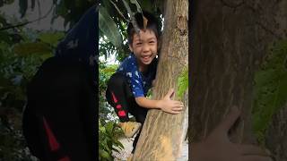 ปีนต้นไม้ สอยมะม่วง ต้นสูงมากกๆๆ🤣 #น้องภพ #pobfamily #familyfun #familyvlog