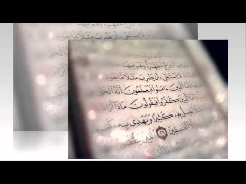 مونتاج يا حامل القرآن بدون موسيقى