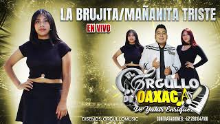 BRUJITA Y MAÑANITA TRISTE CHARANGAS MOVIDITAS PARA NO DEJAR DE BAILAR