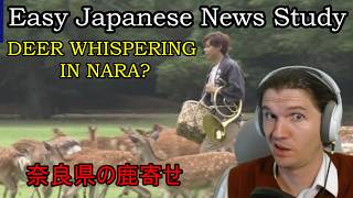 Deer-Calling Event in Nara! (NHK Easy-News -Japanese News for Study)(2026-07-16) screenshot 3