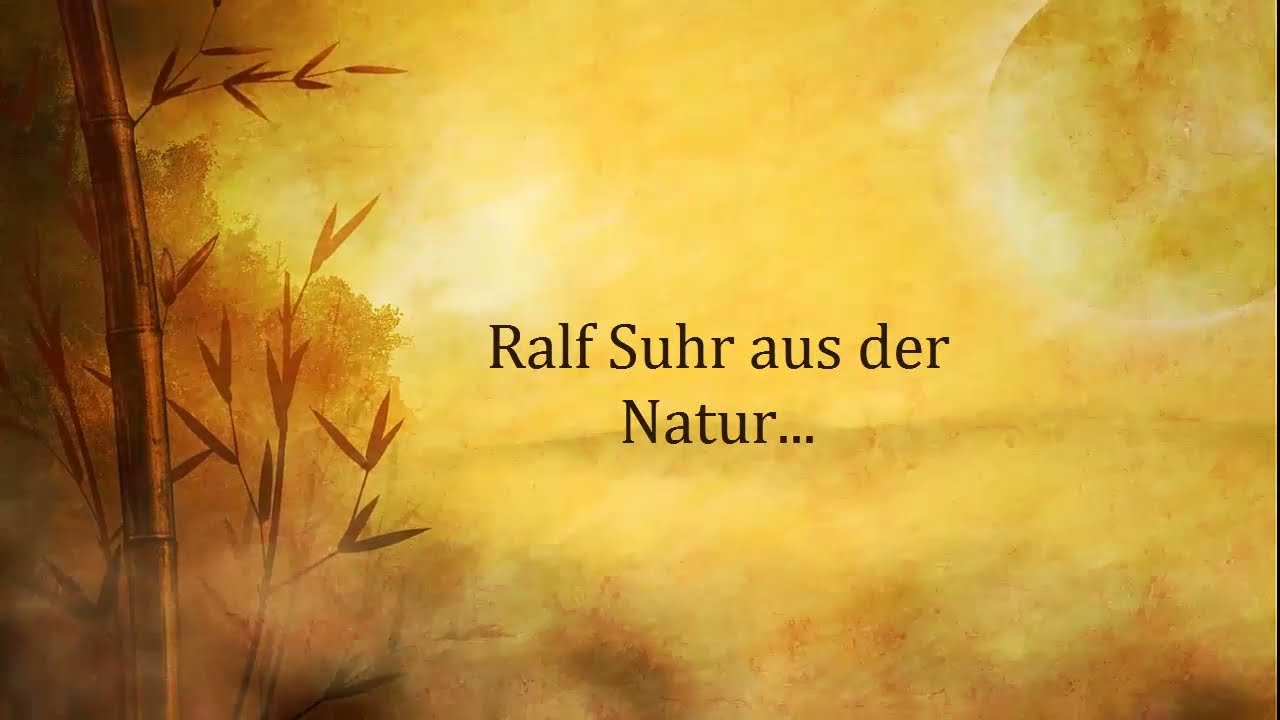 Biogasanlage Selber Bauen Eigenbau Von Ralf Suhr Aus Der Natur Ralle Suhr Thewikihow