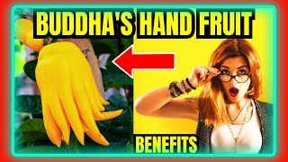 Sacred Citrus Unveiling the Miraculous Powers of Buddha s Hand Fruit