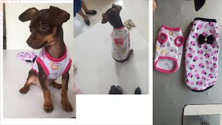 Patrón básico para vestido de perros y gatos corte y confección de Buso ,camisa, a la  medida