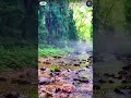 The best route in Zhangjiajie, Hunan Province, China