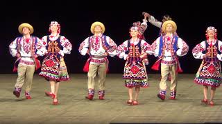 картинка: Ансамбль ім. П.Вірського (23.05.2017 Харків)