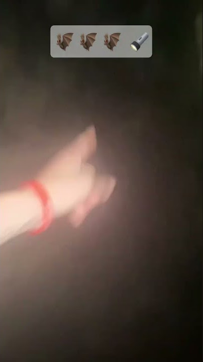 Matrix energy 18 workout🏋️‍♀️: 🕛 midnight🦇 bat hunting in a cave 😂