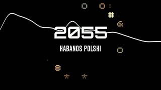 Kabanos Polski - 2055