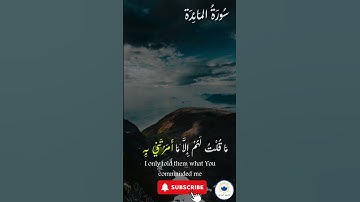 اكتب شيء تؤجر عليه 🤍 🤲🏻 #quran #اسلام #قرآن #راحة_نفسية #سورة_المائدة