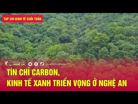 Weekend Economic Magazine: Carbon Credits and Green Economy Prospects in Nghe An