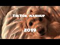 old TikTok mashup 2019 ( not clean )