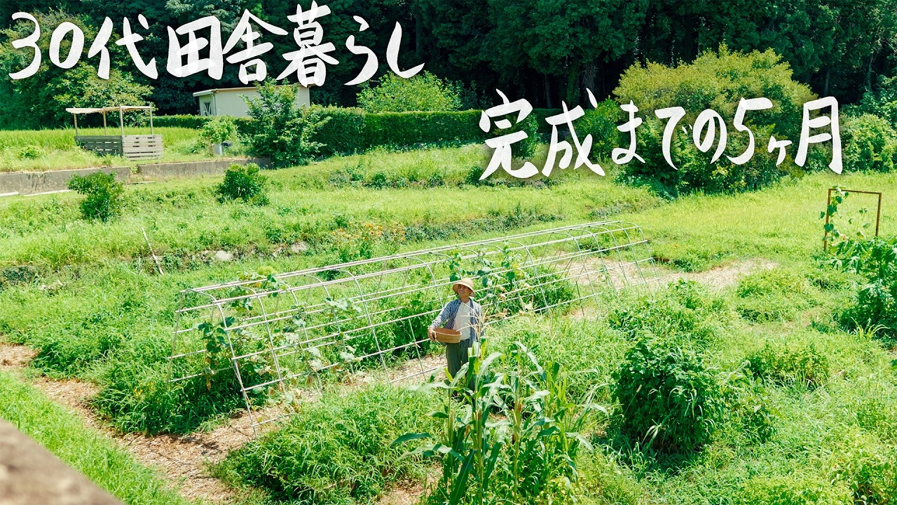 【30代田舎暮らし】5ヶ月かけて0から作った畑。ついに夏野菜が実りました