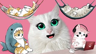 PAPER CLOTHES FOR CUTE KITTENS DIY