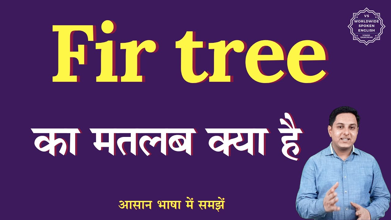 Fir Tree Meaning In Hindi Fir Tree Ka Matlab Kya Hota Hai English fir-tree-meaning-in-hindi-fir-tree-ka-matlab-kya-hota-hai-english