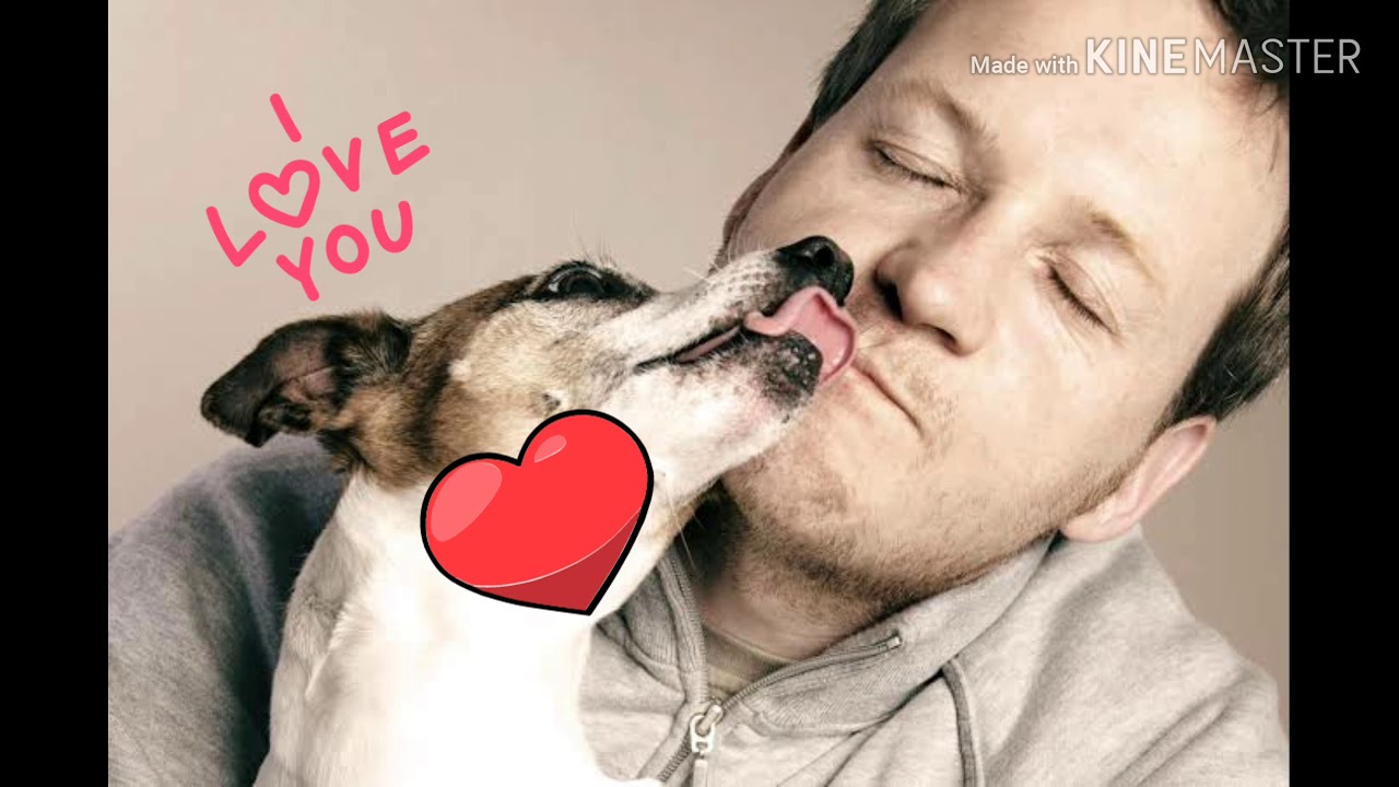 Mi persona favorita YouTube