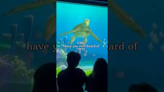 BTS ARMY | Turtle talk with crush π