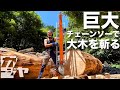 材木は自分で作る【チェーンソー製材】