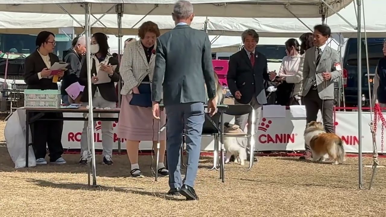 2026年2月28日　三重県クラブ連合会　インターミディエイト　翡翠1席