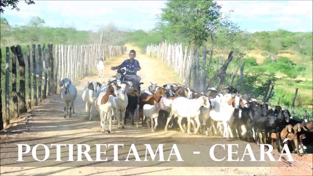 Potiretama Ceará fonte: i.ytimg.com