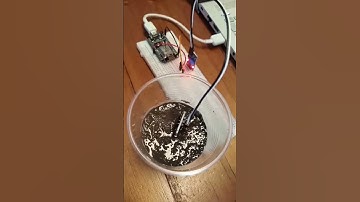 The $25,000 Soil Water Detection Sensor