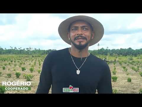 COOPERCAFÉ, A COOPERATIVA DOS CAFEICULTORES DO VALE DO JURUÁ