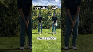 APPROACH vs CHIP #golf #golftips #golfswing #golfshorts #golfaddict #golflife APPROACH vs CHIP #golf #golftips #golfswing #golfshorts #golfaddict #golflife
