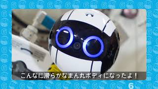 Int-BallだよりVol. 6：まん丸ボディのヒミツ