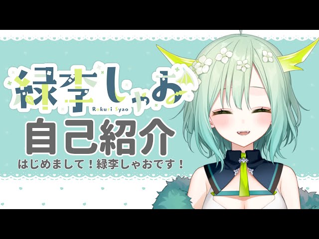 はれちゃん@自己紹介必読　チャコールグレーS はれちゃん@自己紹介必読 チャコールグレーS