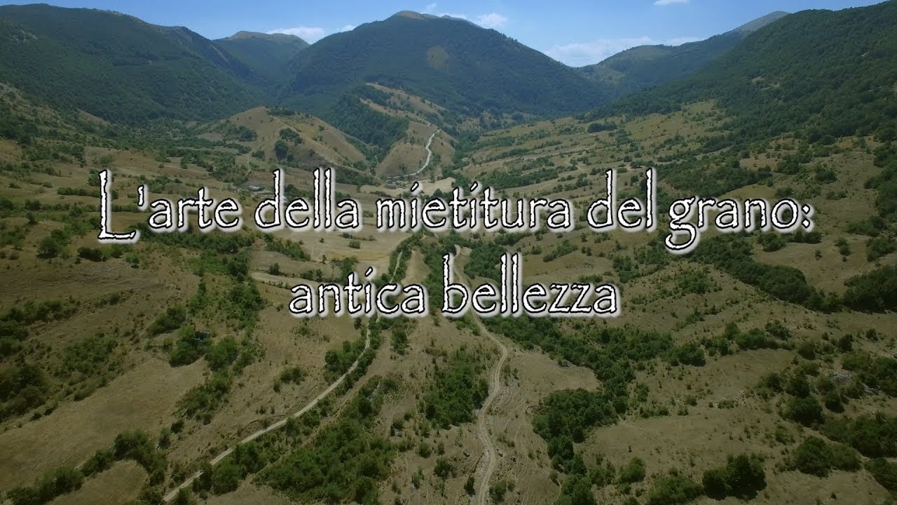 Scanno - Jovana - L'arte della mietitura del grano: antica bellezza