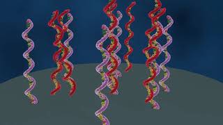 DNA microarray forklaret (dansk tale)