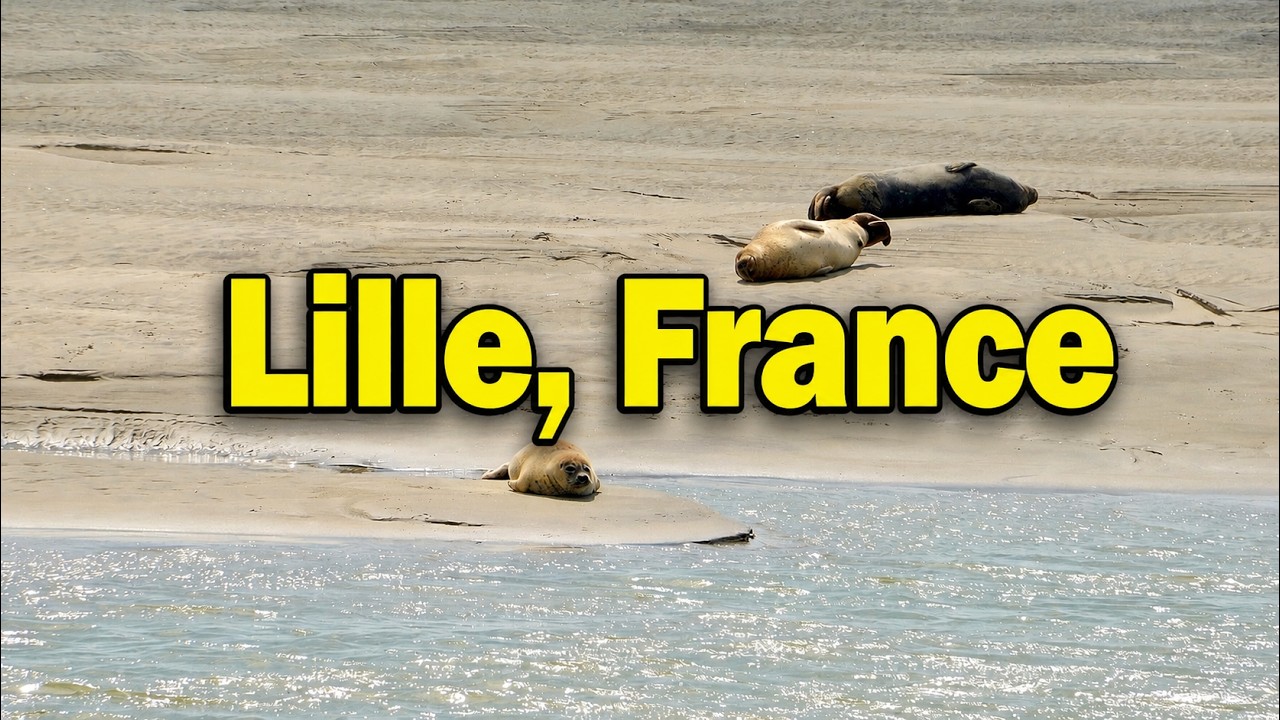 Lille Travel Guide: Top Sights & Hidden Gems