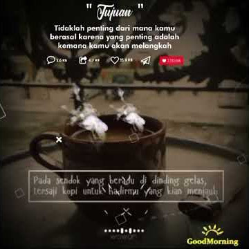 🔴story wa 30 detik kopi enak || di minum Di /pagi hari status wa kopi