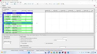 How to Make a Duplicate Copy of Primavera P6 Programme.