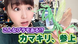 プラモの超新星★オオカマキリ参上！テストショット最速レビュー